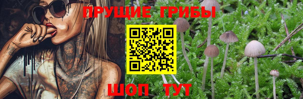 Псилоцибиновые грибы прущие грибы Лесозаводск