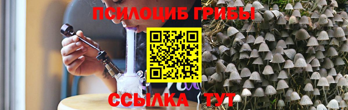 где купить наркоту  Псилоцибиновые грибы GOLDEN TEACHER  Вход с VPN  Лесозаводск 